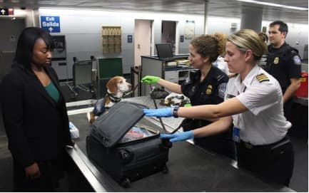 Khai báo hải quan